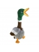 Shakers Honkers Duck L Kong