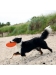 Frisbee "Dog Disc" - 18cm