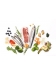 Ydolo Healthy Pure PUP Mini 700g Puppy