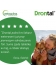 Drontal Plus Flavour 1 tabletka dla psów