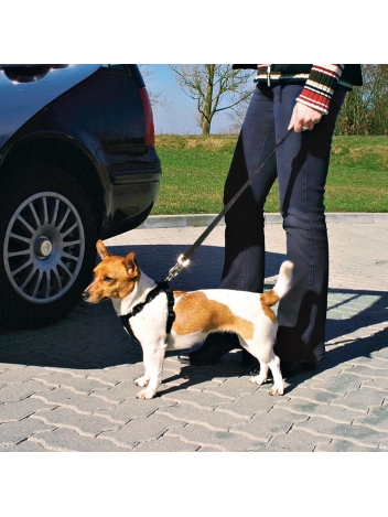 Szelki samochodowe - pasy dla psa - rozmiar XS
