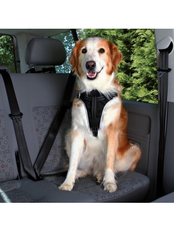 Pasy samochodowe Dog Protect - rozmiar L