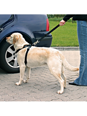 Szelki samochodowe - pasy dla psa - rozmiar L
