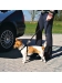 Szelki samochodowe - pasy dla psa - rozmiar XS