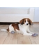 Skarpetki antypoślizgowe dla psa - M-L