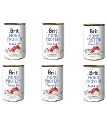 Brit Mono Protein Lamb & Rice 6x400g