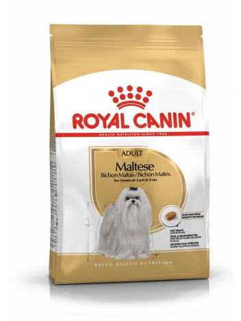 Royal Canin Maltese Adult 0,5kg
