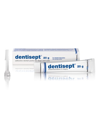 Dentisept - 20g