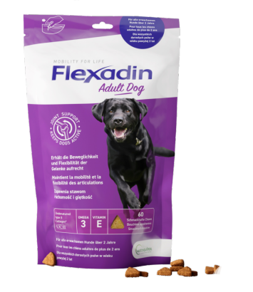 Flexadin Adult Dog 60 kęsów