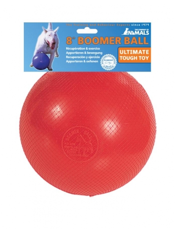 Piłka Boomer Ball L - 8" - 20cm