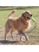 Airdog Fetch Stick with Rope M Kong
