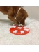 Dog Smart gra edukacyjna dla psa