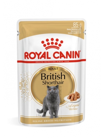 Royal Canin British Shorthair - 12x85g