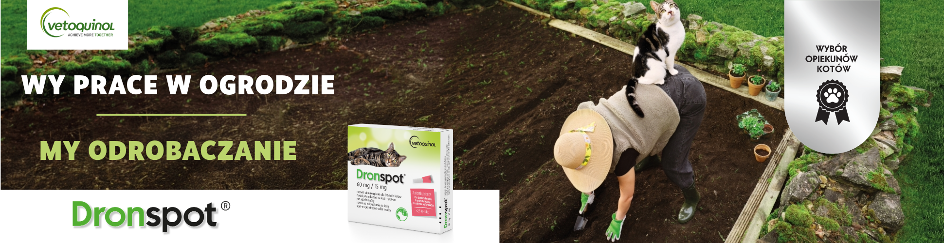 Dronspot