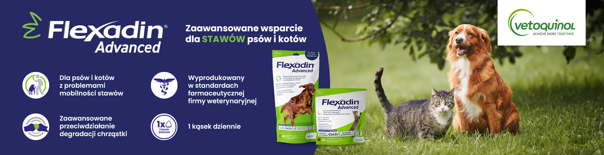Flexadin advance