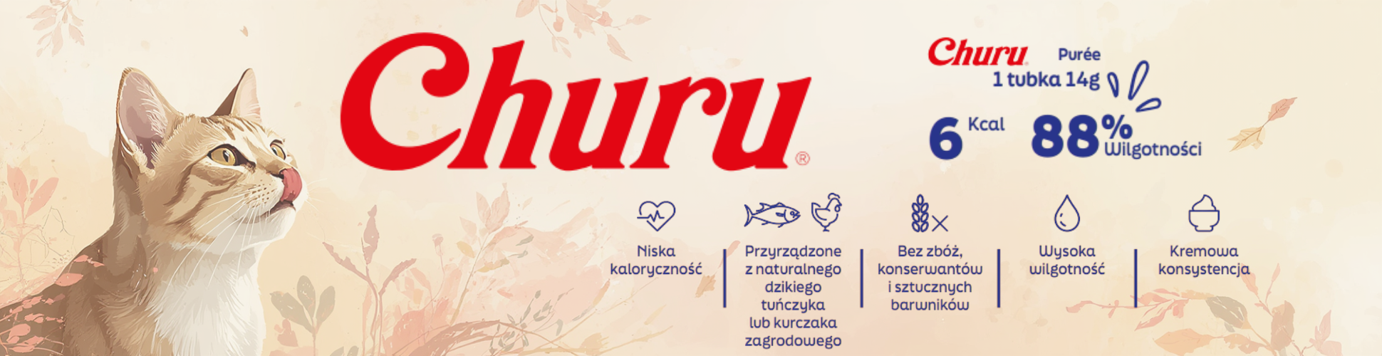 Churu