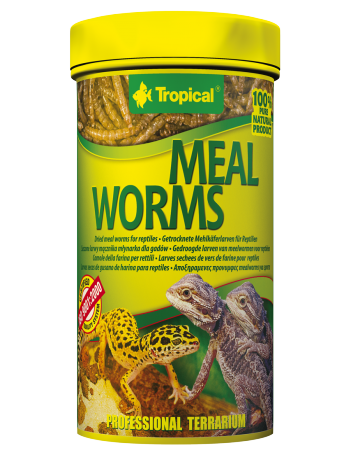 Tropical Meal Worms - 30g/250ml